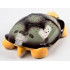 Spēlējošs un spīdošs lampā guļošs bruņurupucis Bruņurupucis