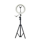 LED aplisveida grima lampa L-9871